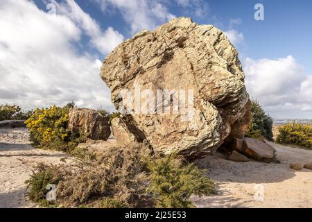 Agglestone Rock aka Devil's Anvil, Studland and Godlingston Heath, Dorset, UK Stock Photo