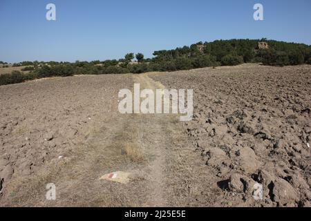 Straight soil hiking trail footpath with direction markings painted in red and white among trees and plowed fields. Stock Photo