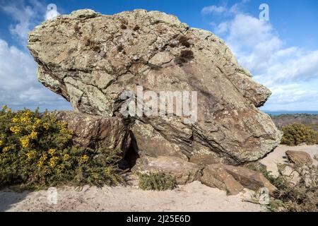 Agglestone Rock aka Devil's Anvil, Studland and Godlingston Heath, Dorset, UK Stock Photo