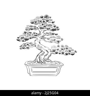 Black and white bansai isolated on white background. Stock vector illustration.Japanese concept. Stock Vector