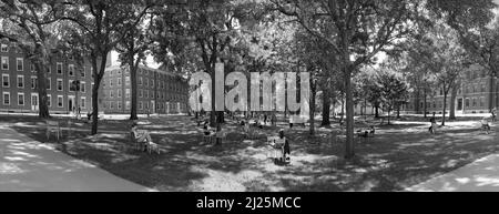 CAMBRIDGE, MA, USA - SEPTEMBER 13, 2017: Students and tourists rest in lawn chairs in Harvard Yard, the open old heart of Harvard University campus  i Stock Photo