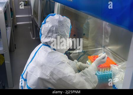 HEFEI, CHINA - MARCH 30, 2022 - An inspector adds reagents to nucleic acid test samples at the Deandi Mobile Rapid Testing Laboratory at the Railway S Stock Photo