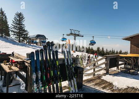 SPINDLERUV MLYN, CZECH REPUBLIC - 10 March. 2022: HEAD ski service center at the top of the hill. Several skis ready for the races. Krkonose, popular Stock Photo