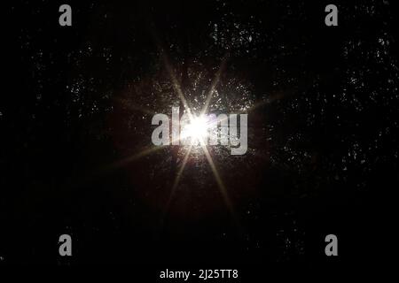 Sunlight coming through trees in the woods. Stock Photo