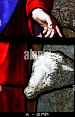 Jesus the good shepper. Close up.  Stained glass window. Stock Photo