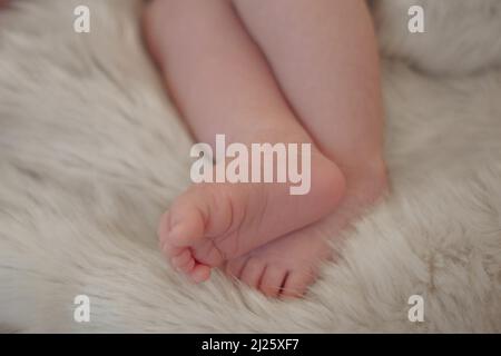 Newborn's feet - Family concept Stock Photo