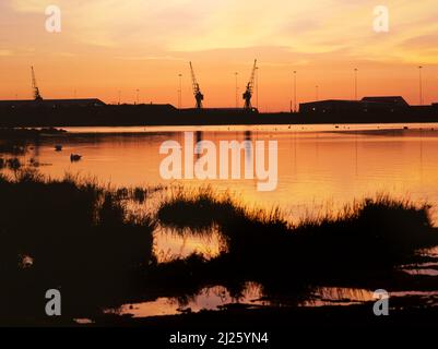 Wetlands Nature Reserve at dawn, Cardiff Bay, Wales, UK Stock Photo