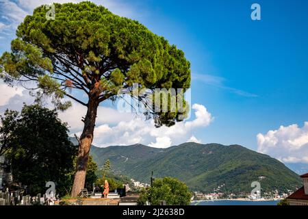 View from Savina monastery, Herceg Novi, Montenegro Stock Photo