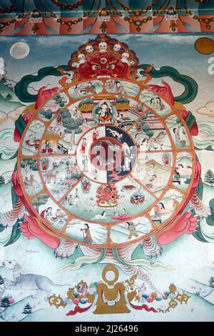 Pema Osel Ling Monastery.  The wheel of life or the bhavacakra  is a symbolic representation of saṃsara.  Wall painting. Stock Photo