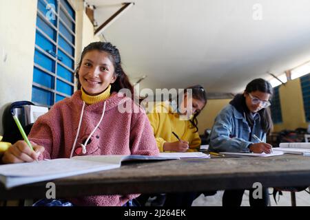 Secondary school. Pupils in classroom Stock Photo - Alamy