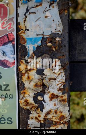 close up traditional notice board covered in remnants of multiple pinned notices in lenti town centre zala county hungary Stock Photo