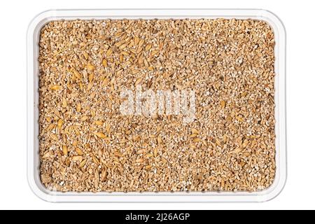A white plastic container, seen from above filled with seeds. Isolated on a white background Stock Photo