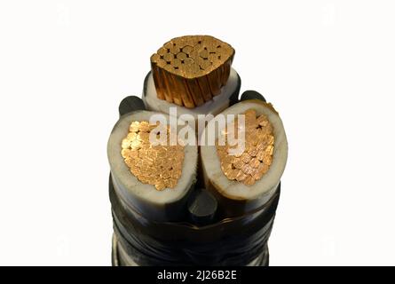 Multi-conductor control and power cables, sheathed. Closeup Stock Photo