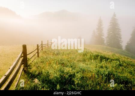 Mountain valley during sunrise. Woden fence on foggy meadow. Located place: Carpathians, Ukraine, Europe Stock Photo