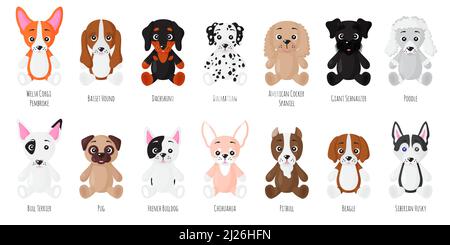 Vector cartoon set of sitting dogs of different breeds. American cocker spaniel, Giant schnauzer, Poodle, Bull terrier, Pug, French Bulldog, Chihuahua Stock Vector