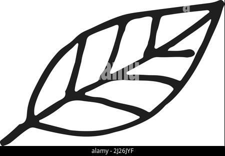 Leaf doodle. Hand drawn tree foliage icon Stock Vector