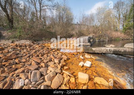 Orange iron oxide staining in stream entering River Neath at Abergarwed. The source is water discharging from an abandoned coal mine. Stock Photo