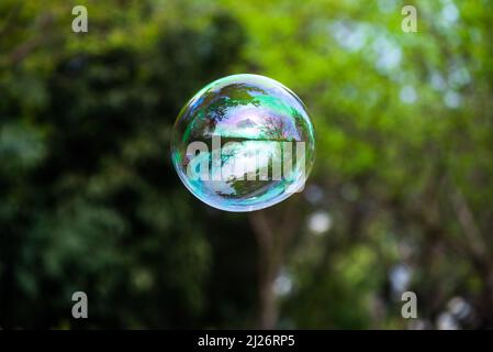 Soap bubble floating with trees in the background Stock Photo