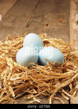 With natural dyes self-dyed organic eggs in a straw nest, holiday or healthy food concept Stock Photo