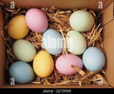 With natural dyes self-dyed organic eggs in a straw nest, holiday or healthy food concept Stock Photo