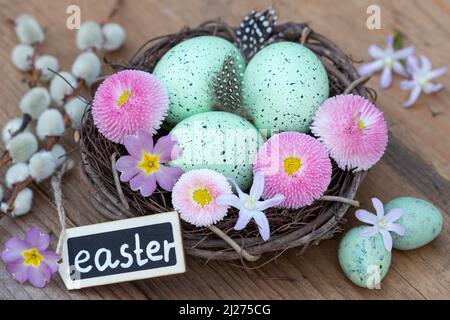 easter nest with easter eggs and pink spring flowers Stock Photo