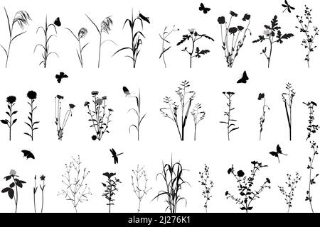 Collection of silhouettes of flowers, grasses and insects Stock Vector