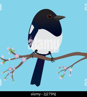 A very cute magpie bird in the shape of an egg. Blue background. The bird sits on a branch with blossom. Stock Vector