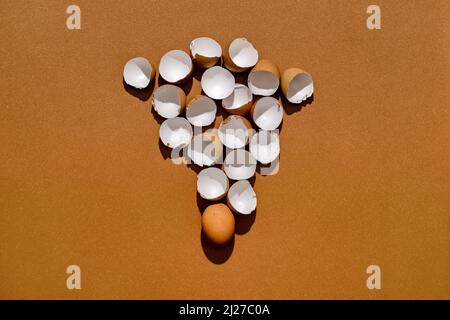Concept of strength, power and stamina. Whole egg and eggshell on brown background. Stock Photo