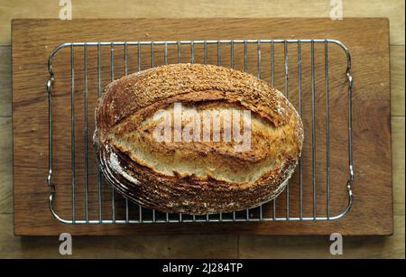 Bread Stock Photo