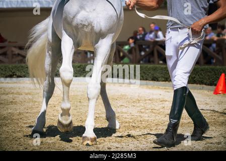 Walking on sale riding boots