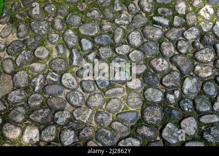 Stone floor in the garden Stock Photo