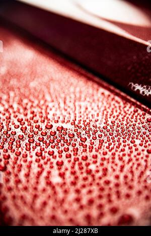 Water drops on red car body. Hydrophobic Stock Photo