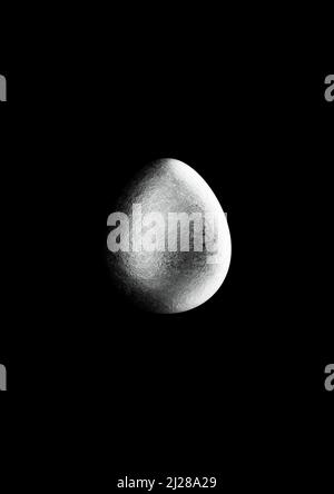 Chocolate easter egg with silver Aluminium foil on black background. Stock Photo