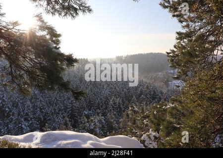 Late winter afternoon scene in Příhrazské skály, Bohemian Paradise, Czech Republic. Stock Photo