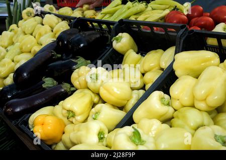 The grocery store section of vegetables with peppers, eggplants, and other vegetables stored in plastic boxes Stock Photo
