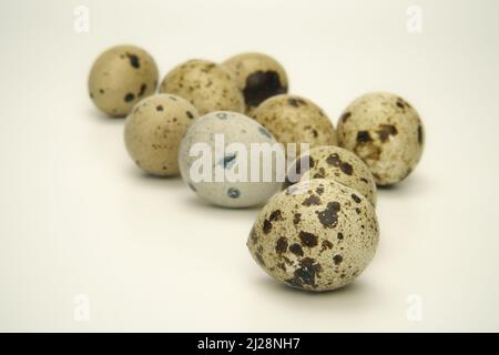 Quail eggs on a pastel hue white background. The speckled eggshells texture in a close-up scene. A still life with a shallow depth of field view. Stock Photo