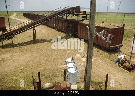 Chambas, Cuba, April 25, 2010. Loading sugar cane into train carriages. Stock Photo