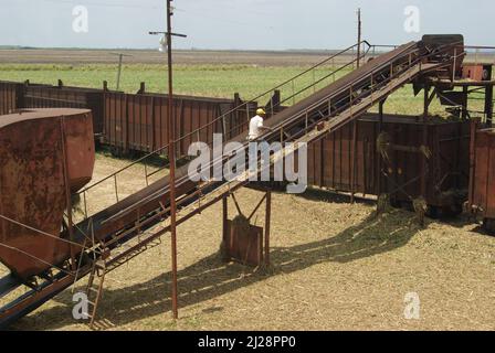 Chambas, Cuba, April 25, 2010. Loading sugar cane into train carriages. Stock Photo