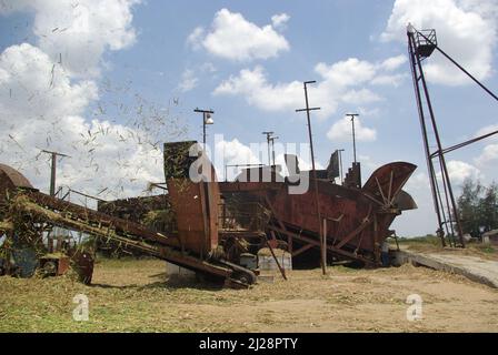 Chambas, Cuba, April 25, 2010. Loading sugar cane into train carriages. Stock Photo