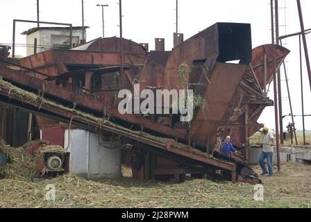 Chambas, Cuba, April 25, 2010. Loading sugar cane into train carriages. Stock Photo