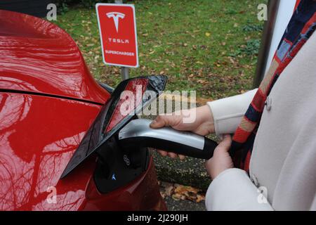 Tesla Stock Photo