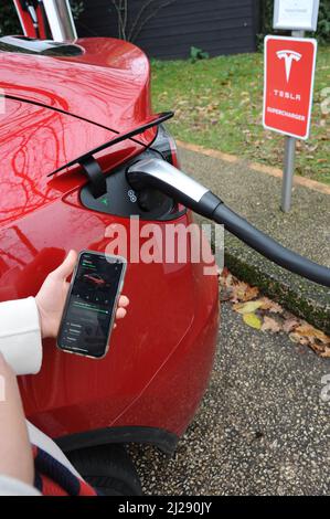 Tesla Stock Photo