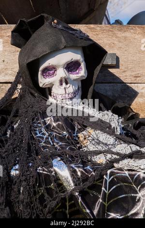 Plastic skull draped in black cloth hoodie at Halloween. Stock Photo