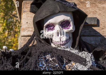 Plastic skull draped in black cloth hoodie at Halloween. Stock Photo