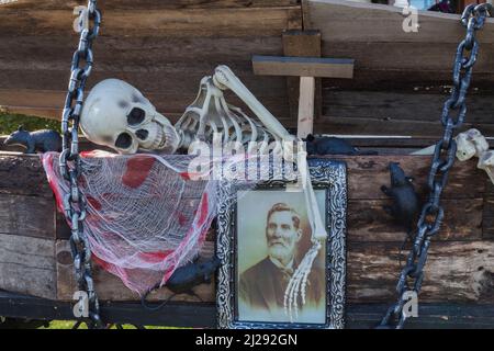 Opened wooden coffin decorated with framed holographic portrait and plastic skeleton of the deceased at Halloween. Stock Photo