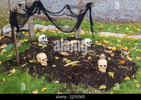 Plastic skulls on top of grave at Halloween. Stock Photo