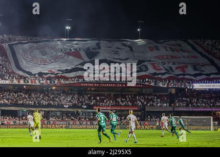 SP - Sao Paulo - 03/30/2022 - PAULISTA 2022, SAO PAULO X PALMEIRAS - Sao  Paulo player Calleri celebrates his goal with players from his team during  a match against Palmeiras at