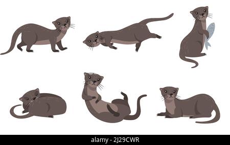 Cute weasel set. Cartoon animal in different poses and actions, otter holding fish, sleeping, walking, swimming. For wildlife, fur, nature concept Stock Vector