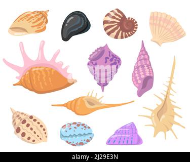 Sea or ocean shell objects flat illustration set. Cartoon colorful seashells on white background isolated vector illustration collection. Water nature Stock Vector