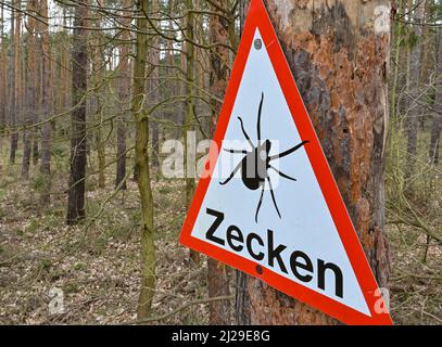 30 March 2022, Brandenburg, Müllrose: A warning sign against ticks hangs on a tree in a forest. With the milder temperatures, ticks are becoming active again these days. Ticks can transmit various diseases. Photo: Patrick Pleul/dpa-Zentralbild/ZB Stock Photo